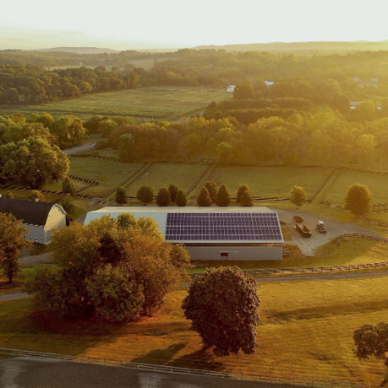 Immagine 2025-02-14 093046