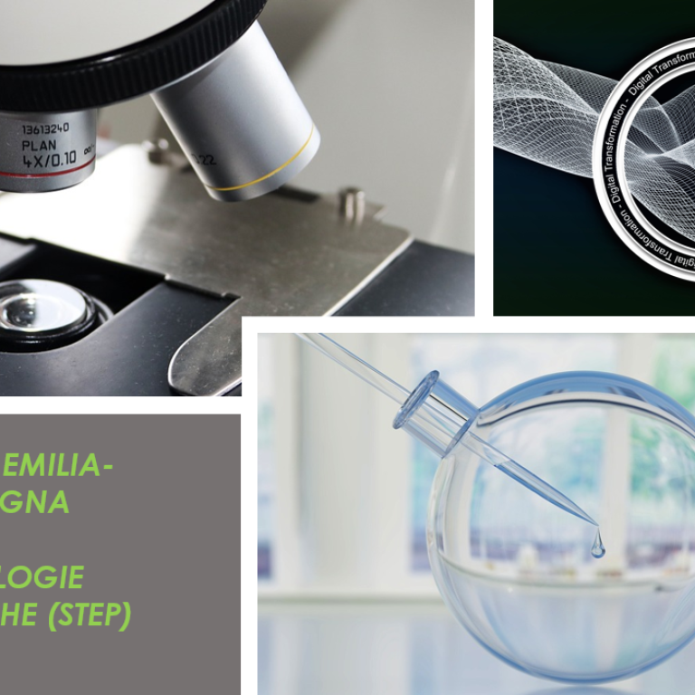 Immagine 2026-01-14 112245